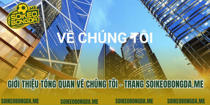Giới thiệu tổng quan về chúng tôi - trang yuie.com.tw