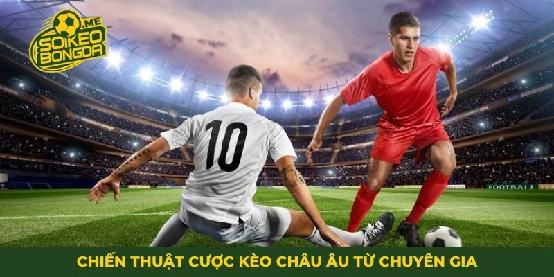 Chiến thuật cược kèo châu Âu từ chuyên gia