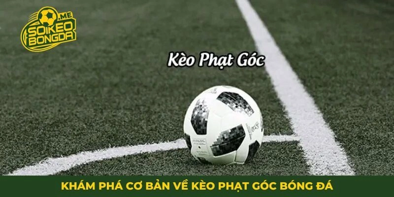 Khám phá cơ bản về kèo phạt góc bóng đá