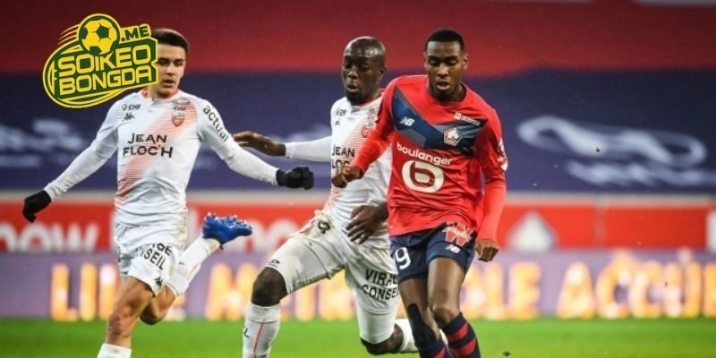 Phân tích, soi kèo Lille vs Lorient trong giải Ligue 1 2026